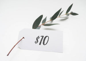 Ecostainable $10 Gift Card